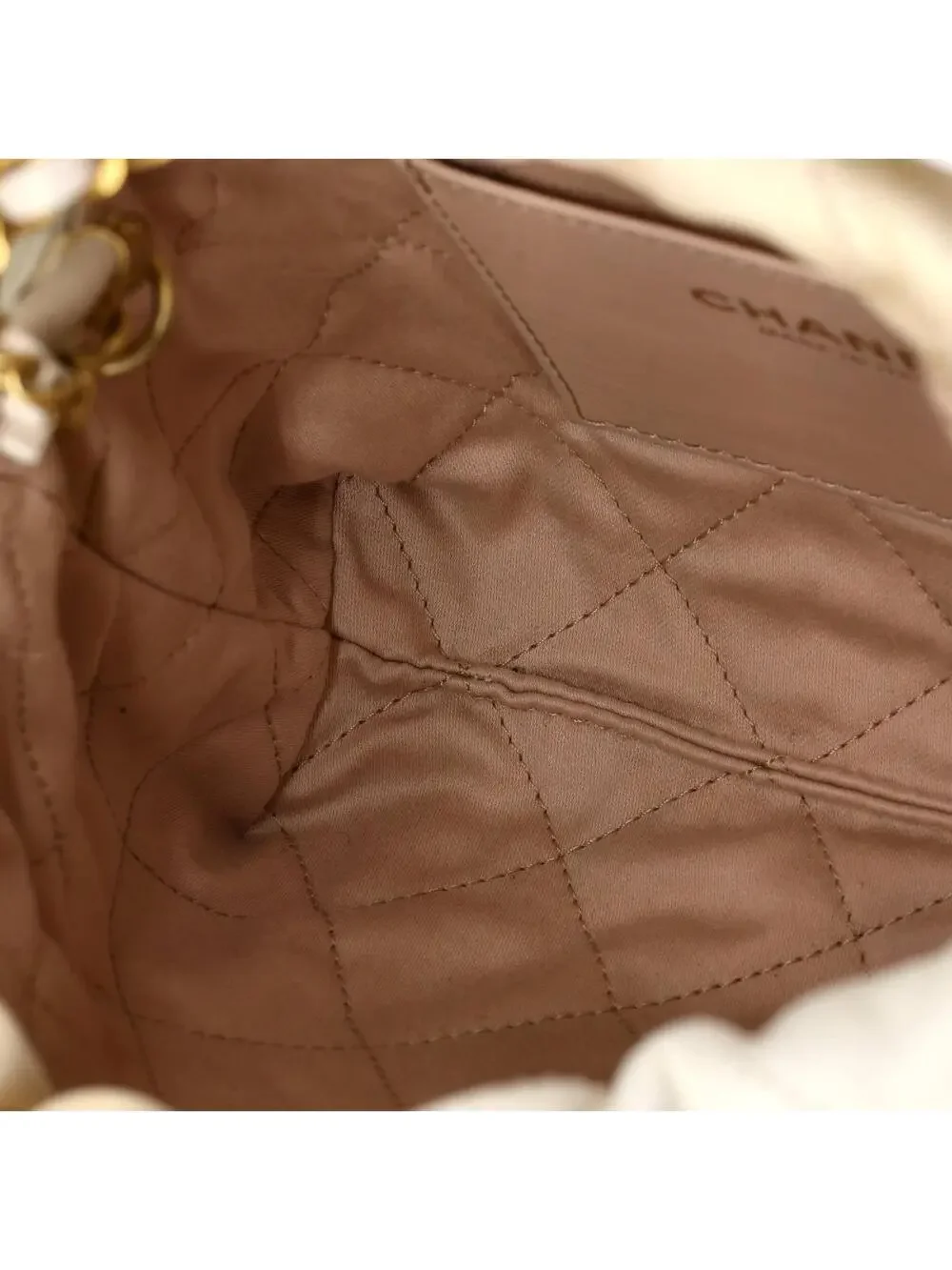 Chanel 22 Chain Hobo Quilted Shaded #281432C48B